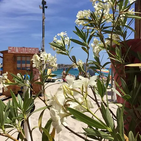 Apartment Nuragica Sardegna *